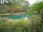 秋の五色沼gosiki  marsh  in autumn24